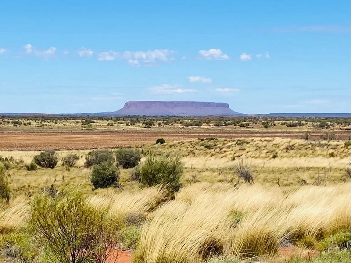 Curtin Springs