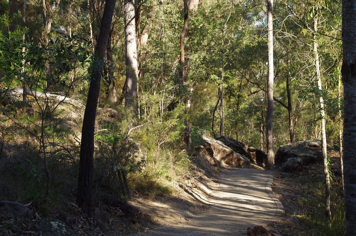 Springwood Conservation Park