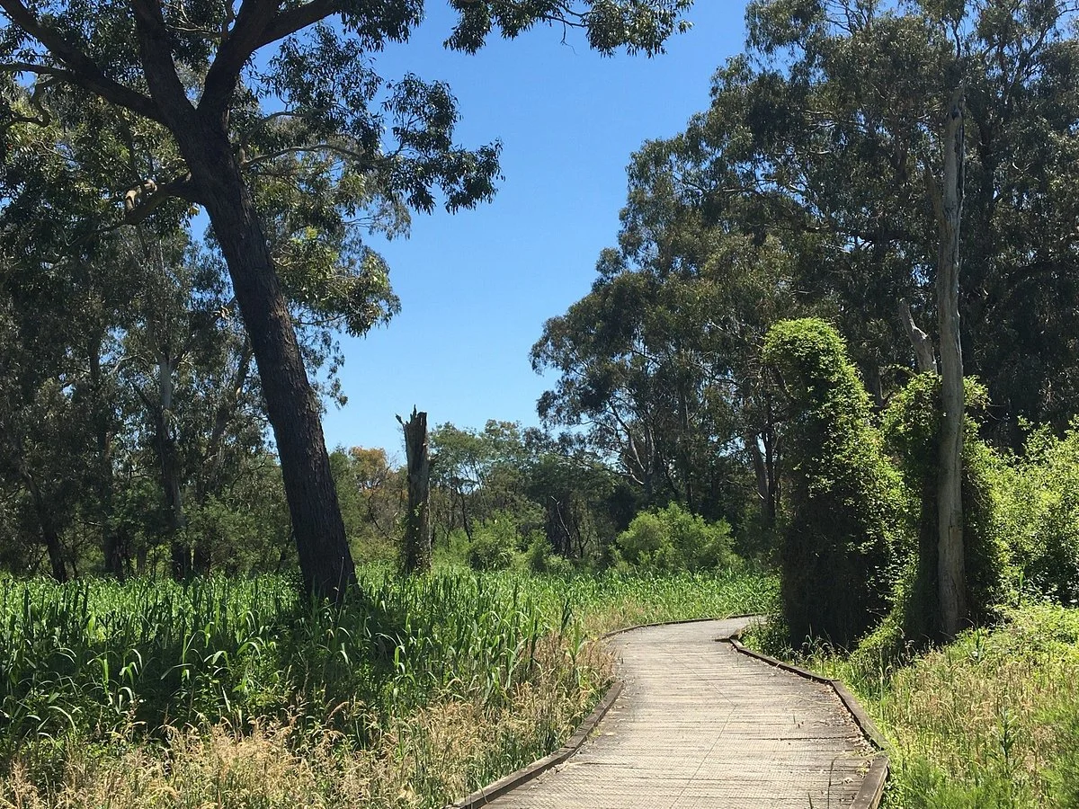 Koomba Park