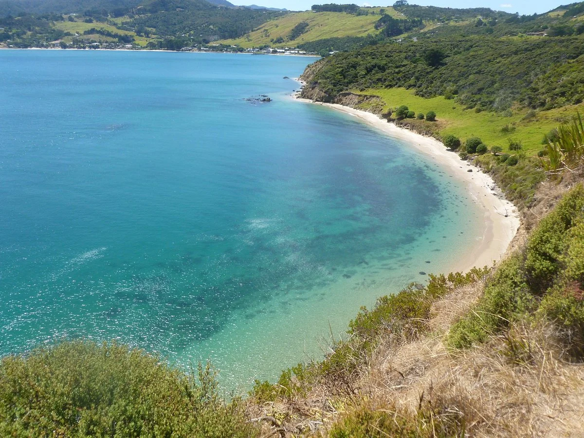 Arai Te Uru Heritage Walk
