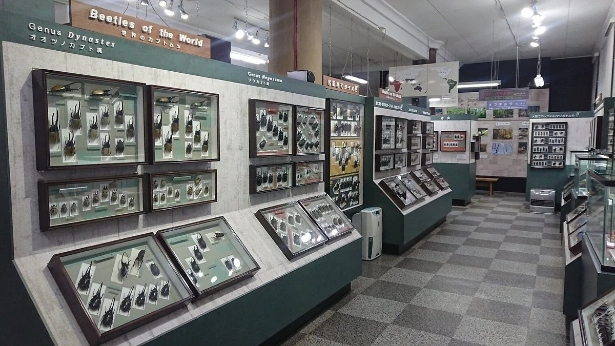 Nawa Insect Museum