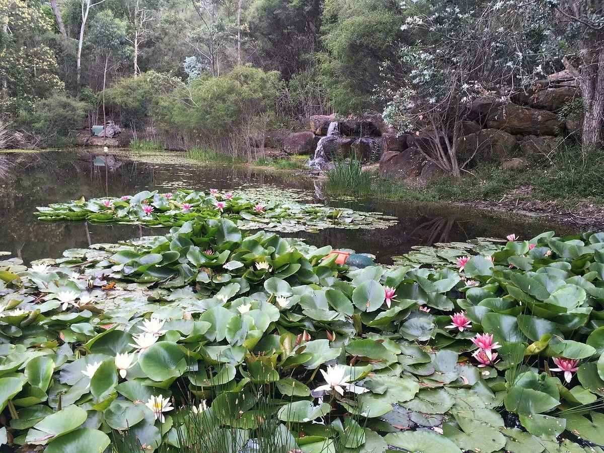 Ballarat Bird World