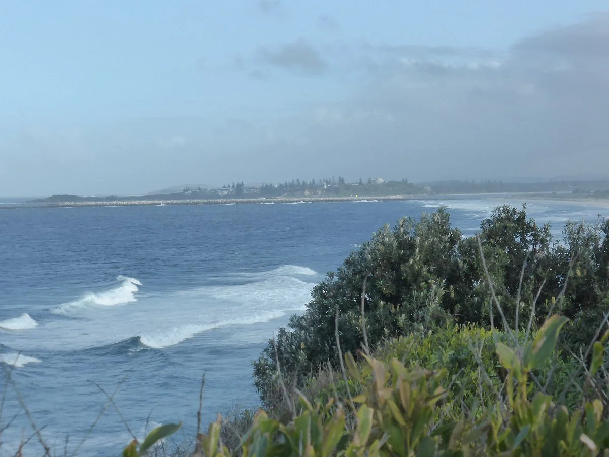 Iluka Rainforest Walking Track