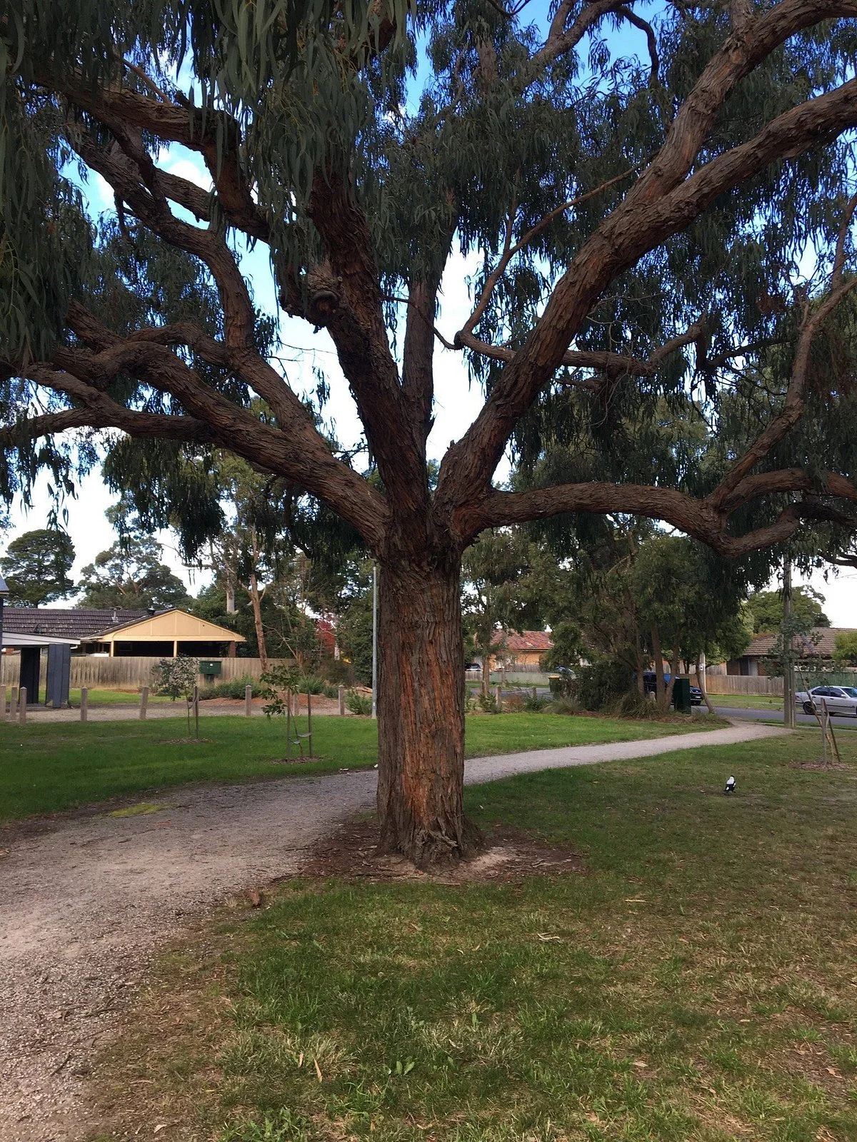 Tunstall Park