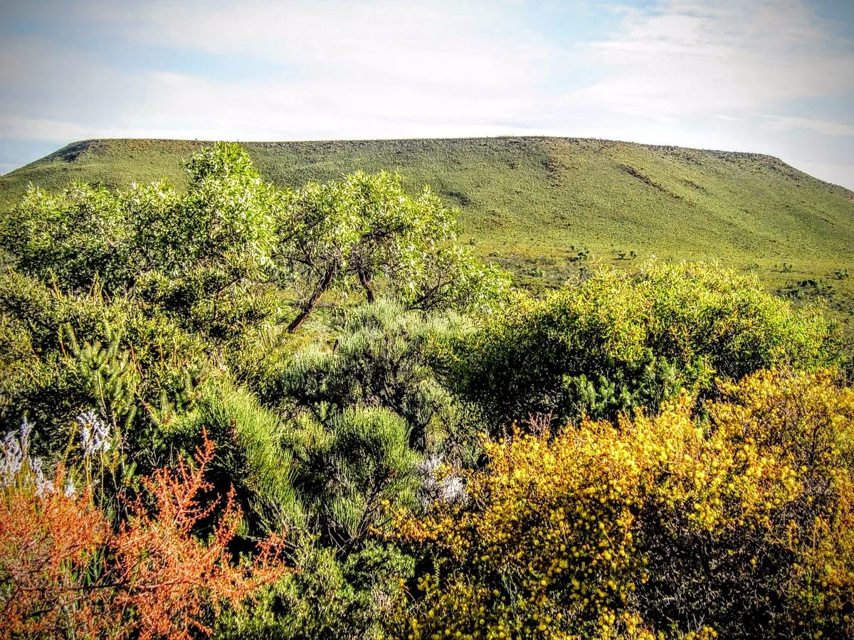 Lesueur National Park