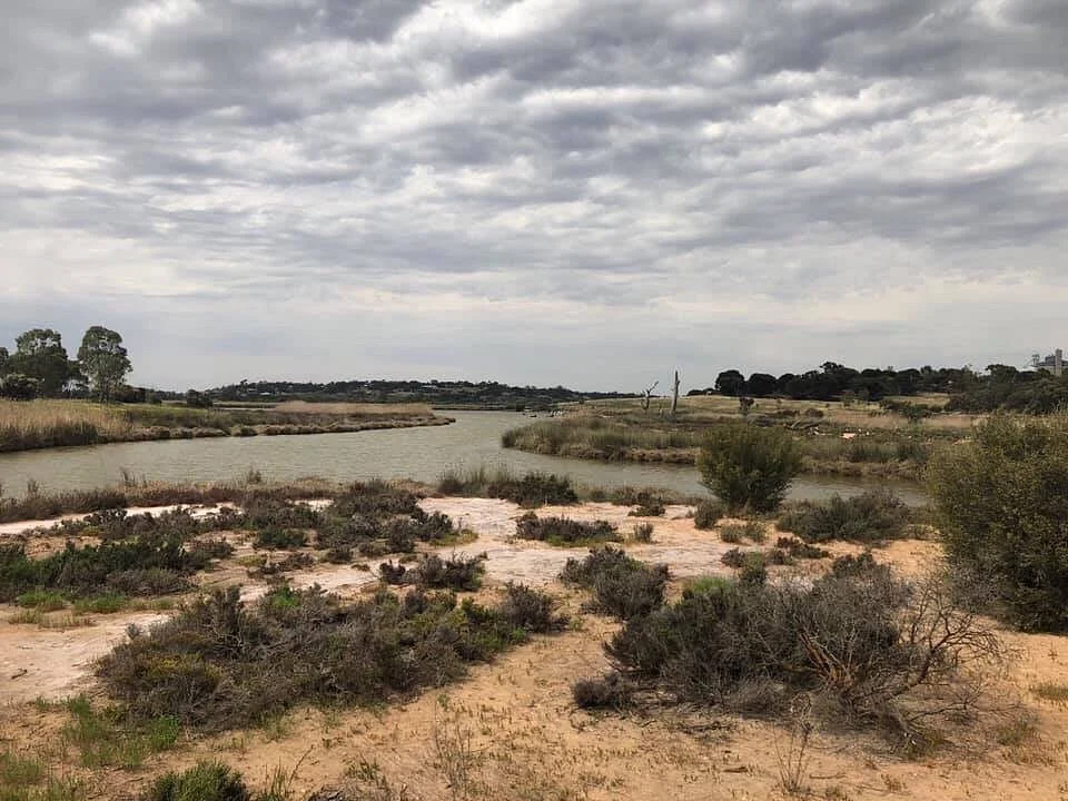 Rocky Gully Wetlands