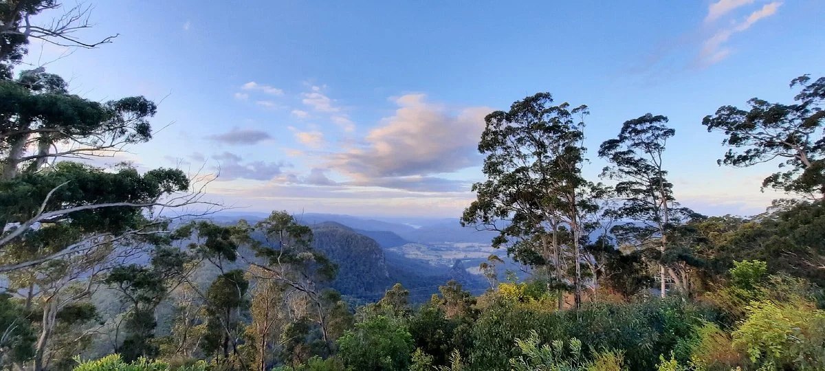 Bellbird Lookout & Circuit
