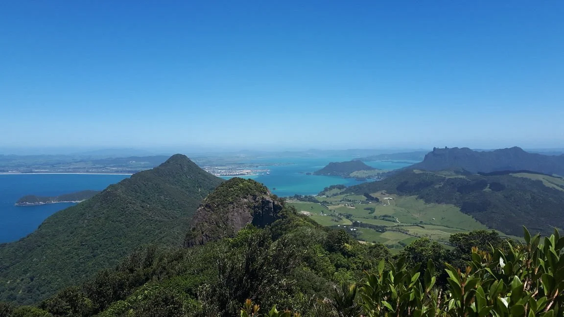 Te Whara Track