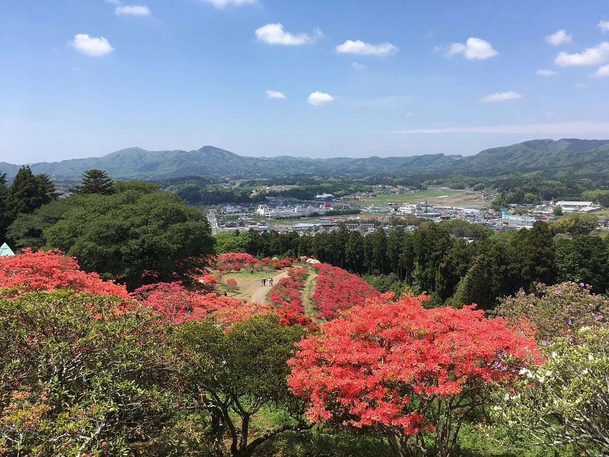 Kasama Tsutsuji Park