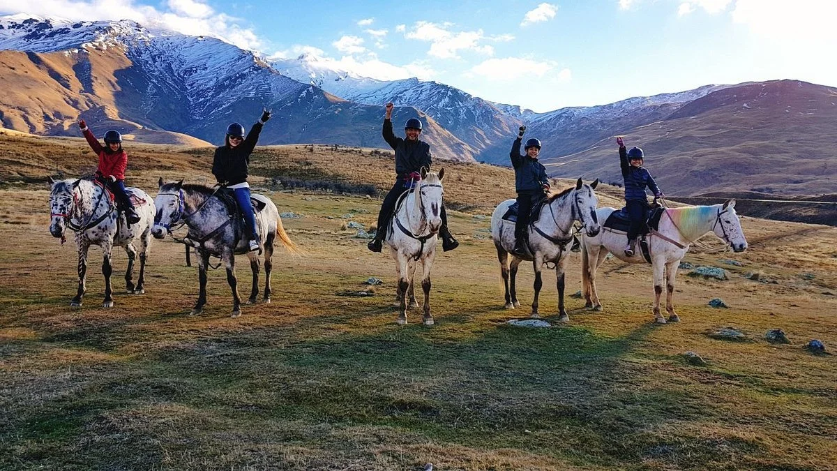 Back Country Saddles