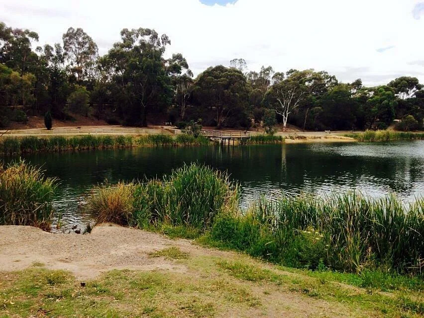 Lake Esmond Botanical Park