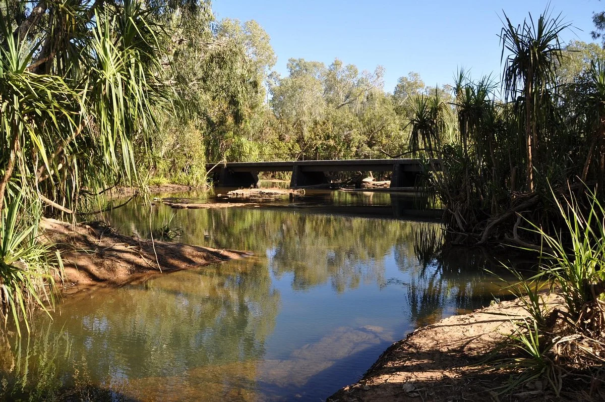 Low Level Nature Reserve