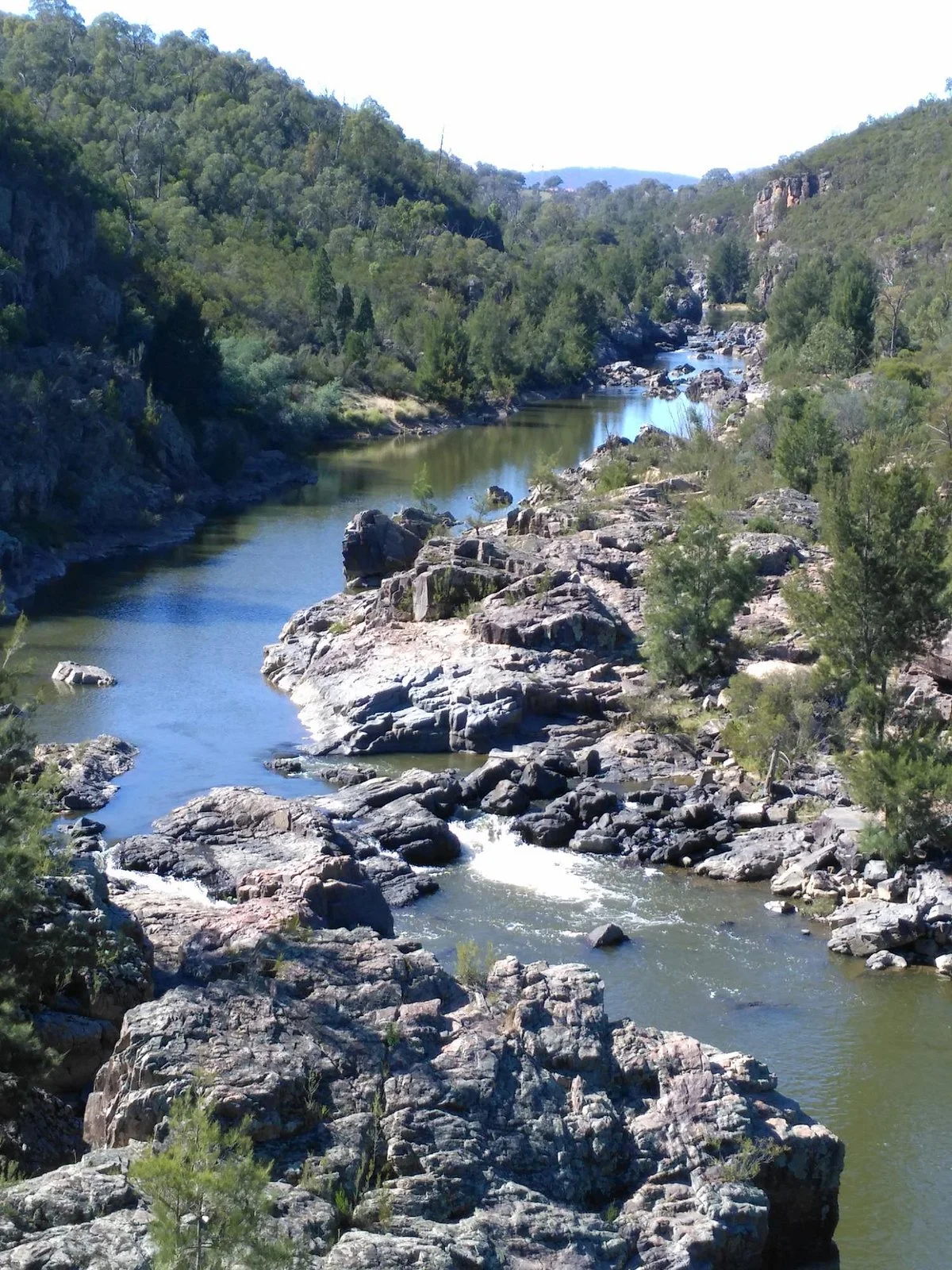 Pine Island Reserve