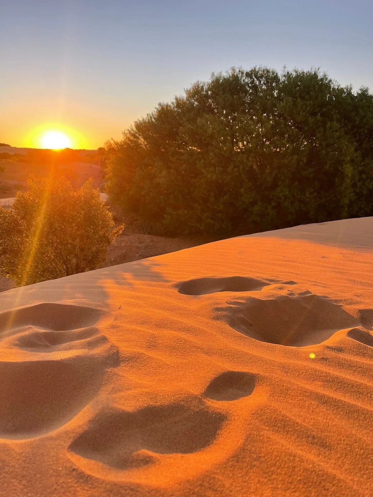 Perry Sand Hills