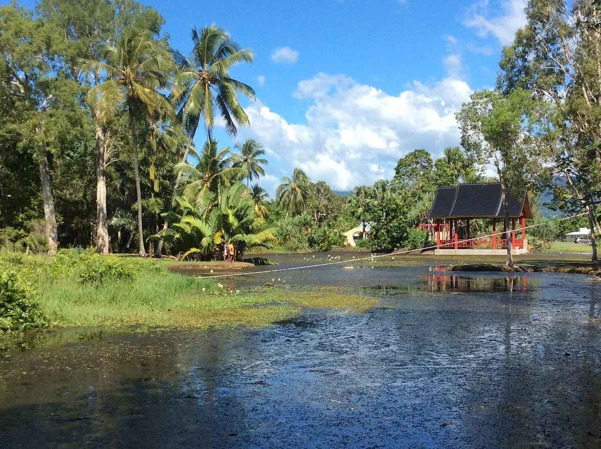 Centenary Lakes - Cairns Botanic Gardens