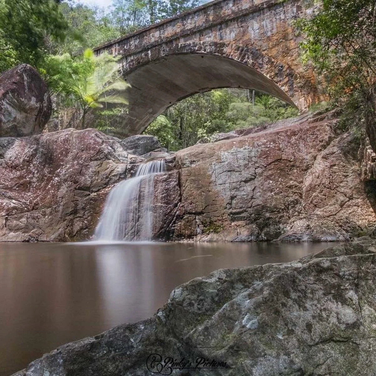Paluma and Crystal Creek Rainforest
