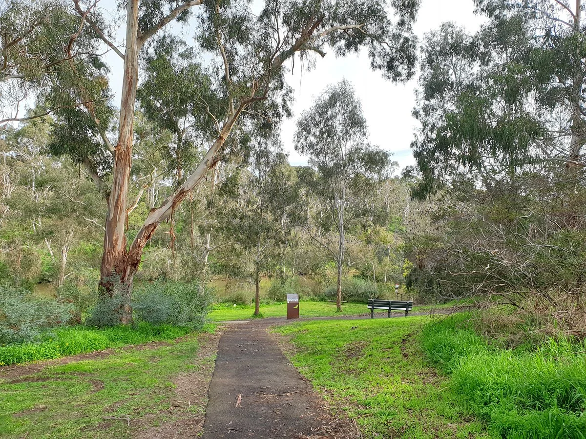 Bellbird Picnic Area