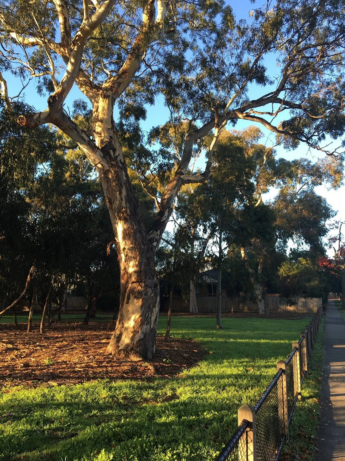 Ferndale Park