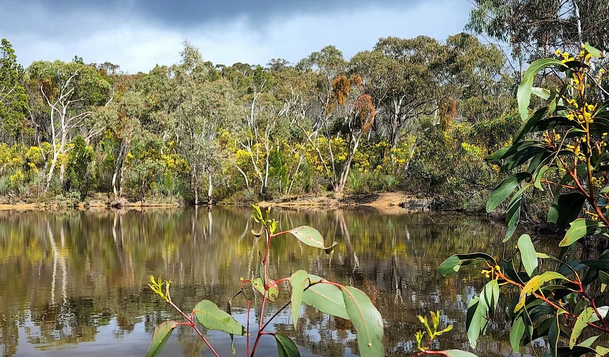Para Wirra Recreation Park