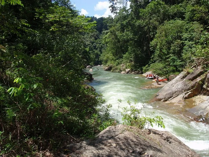 Jungle Lodge Malaysia