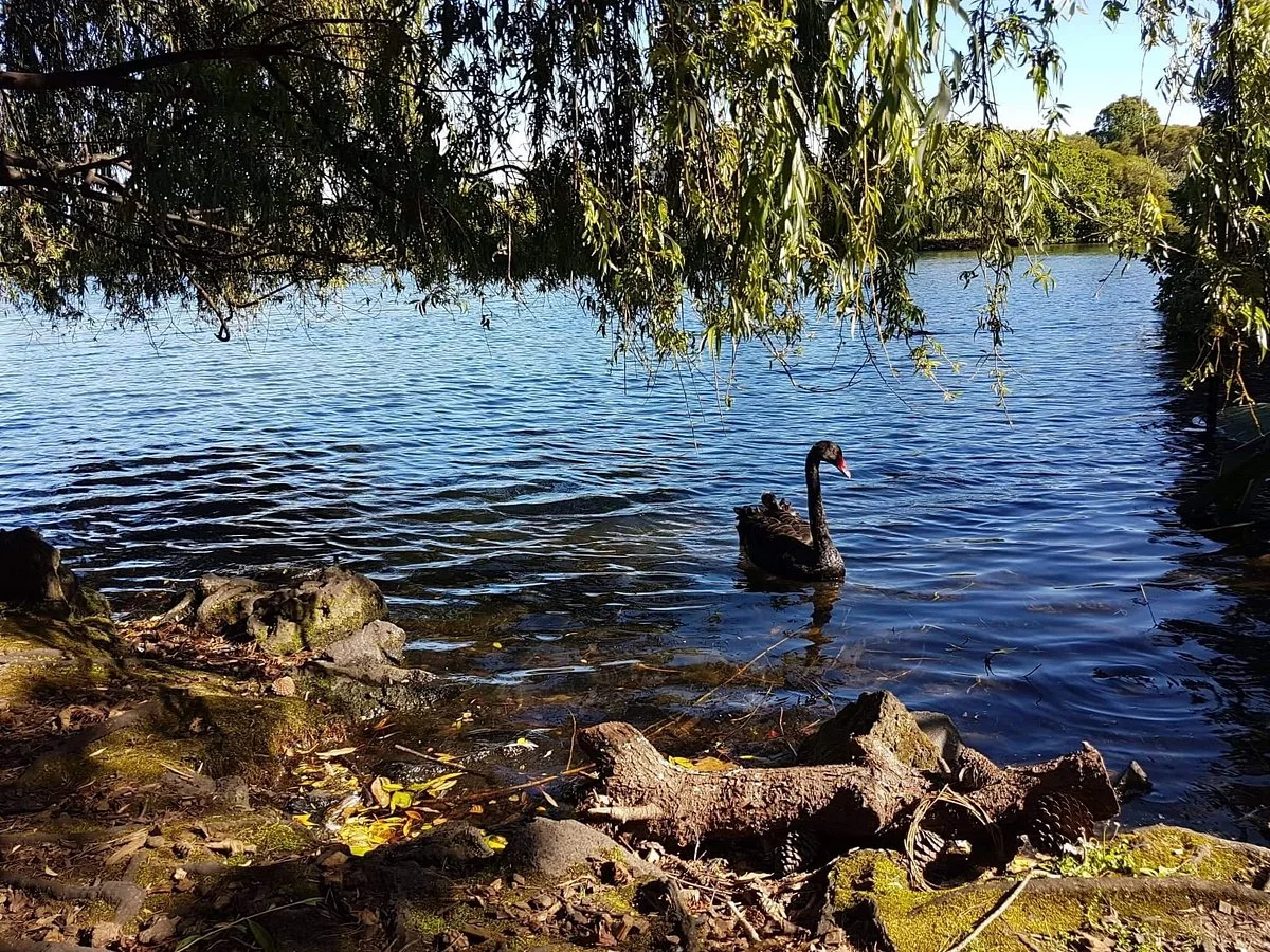 Western Springs Lakeside Park
