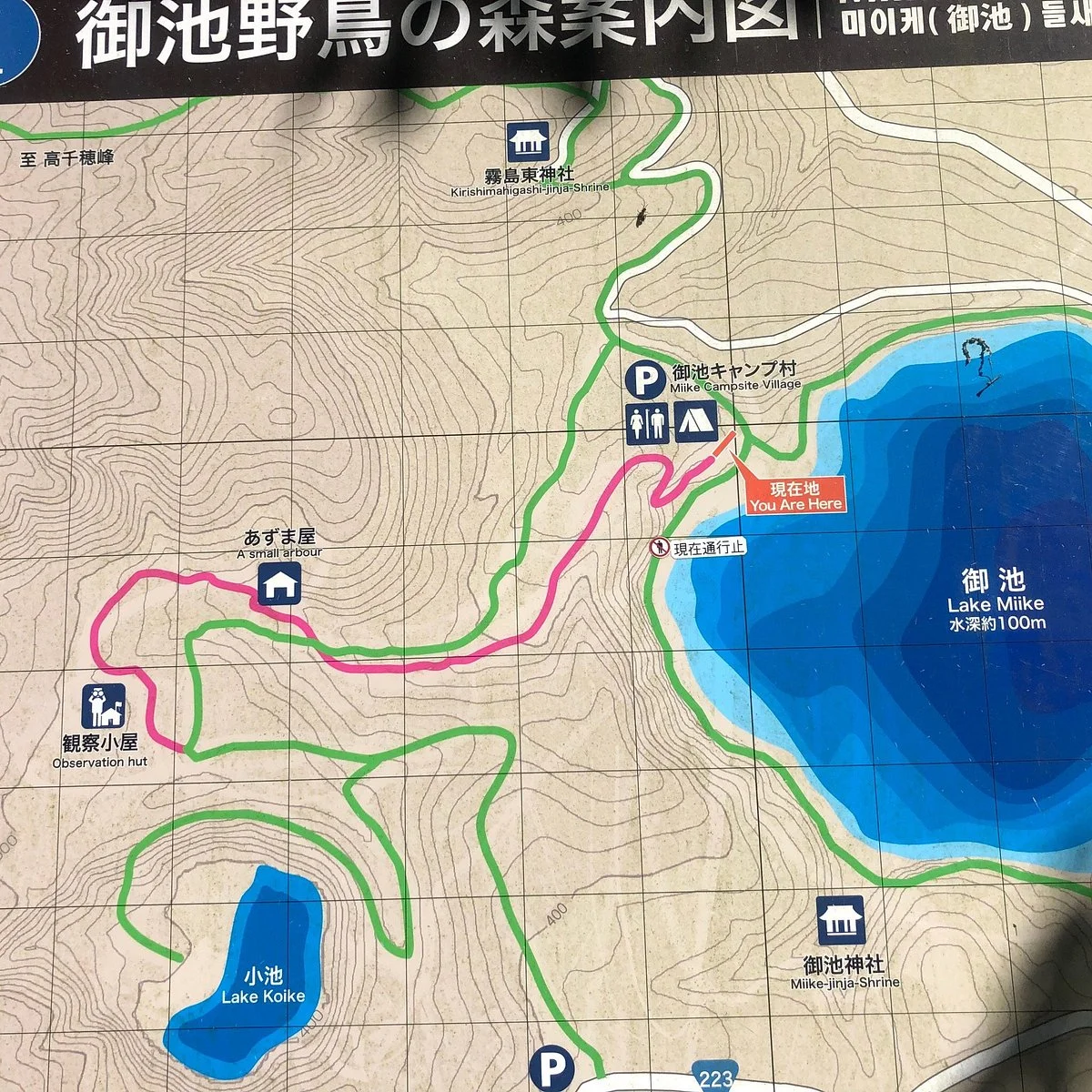 Oike Yacho Forest