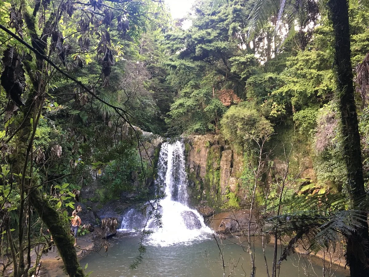 Waiau Falls Walk