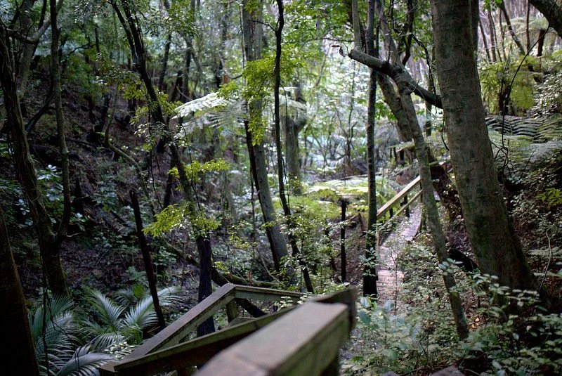 Glenfern Sanctuary