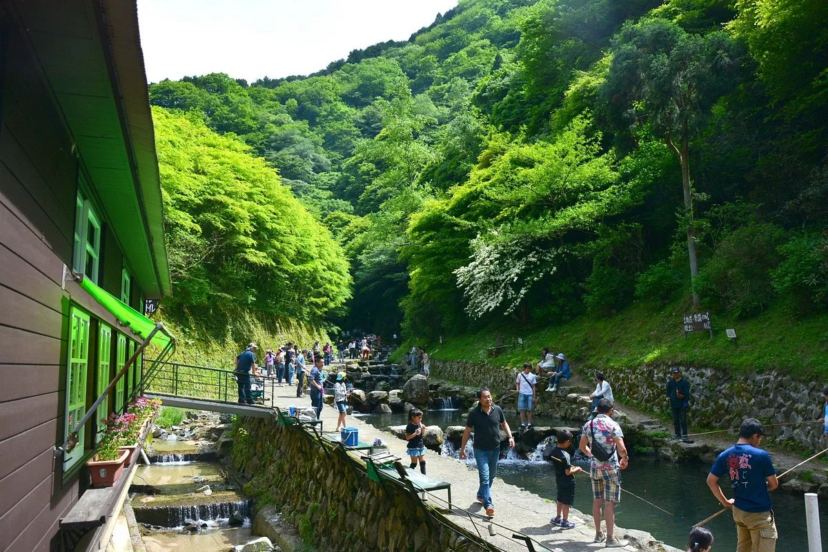 Chihayagawa Masu Fishing Area