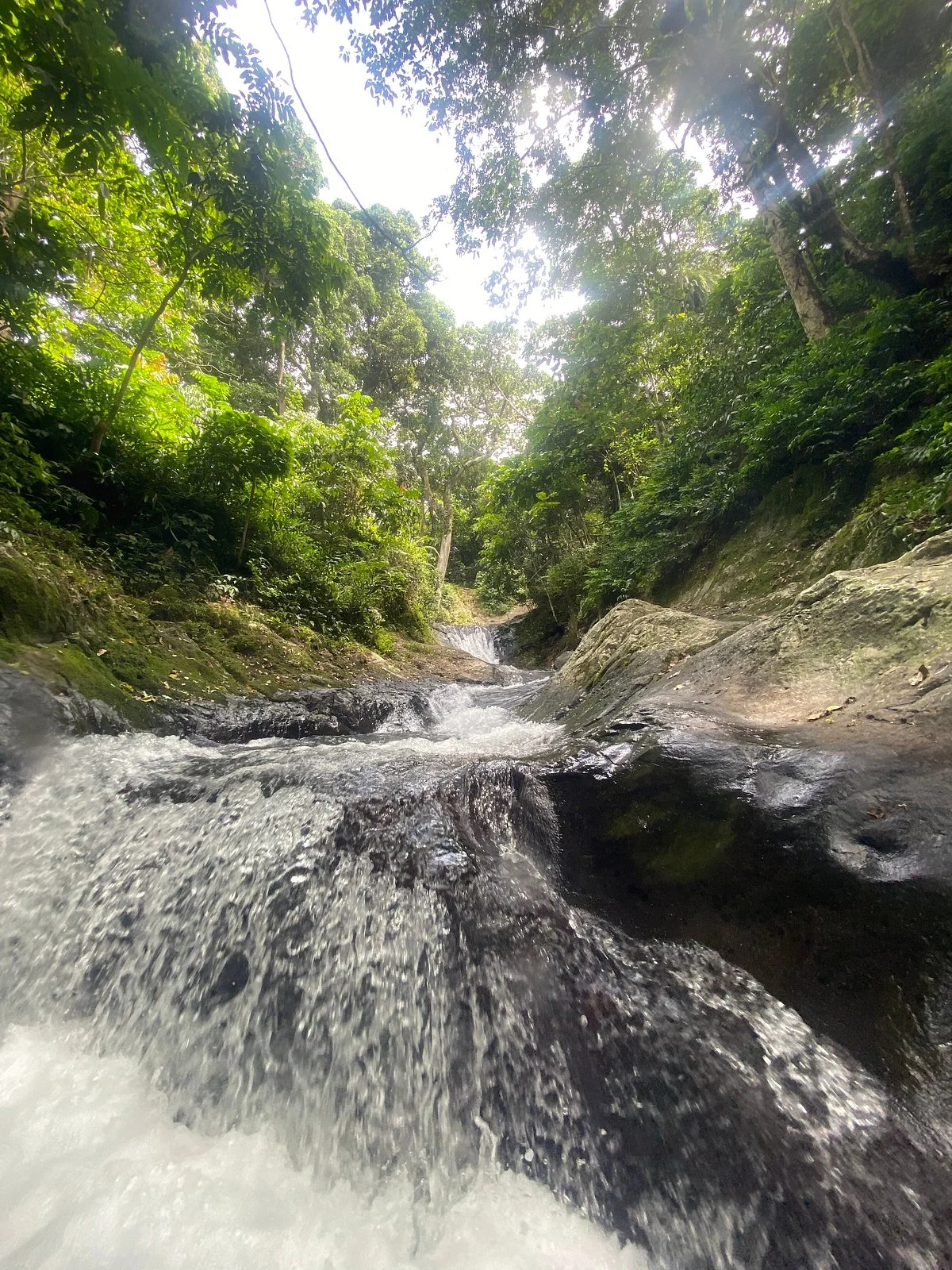 Waitavala Natural Rock Waterslide