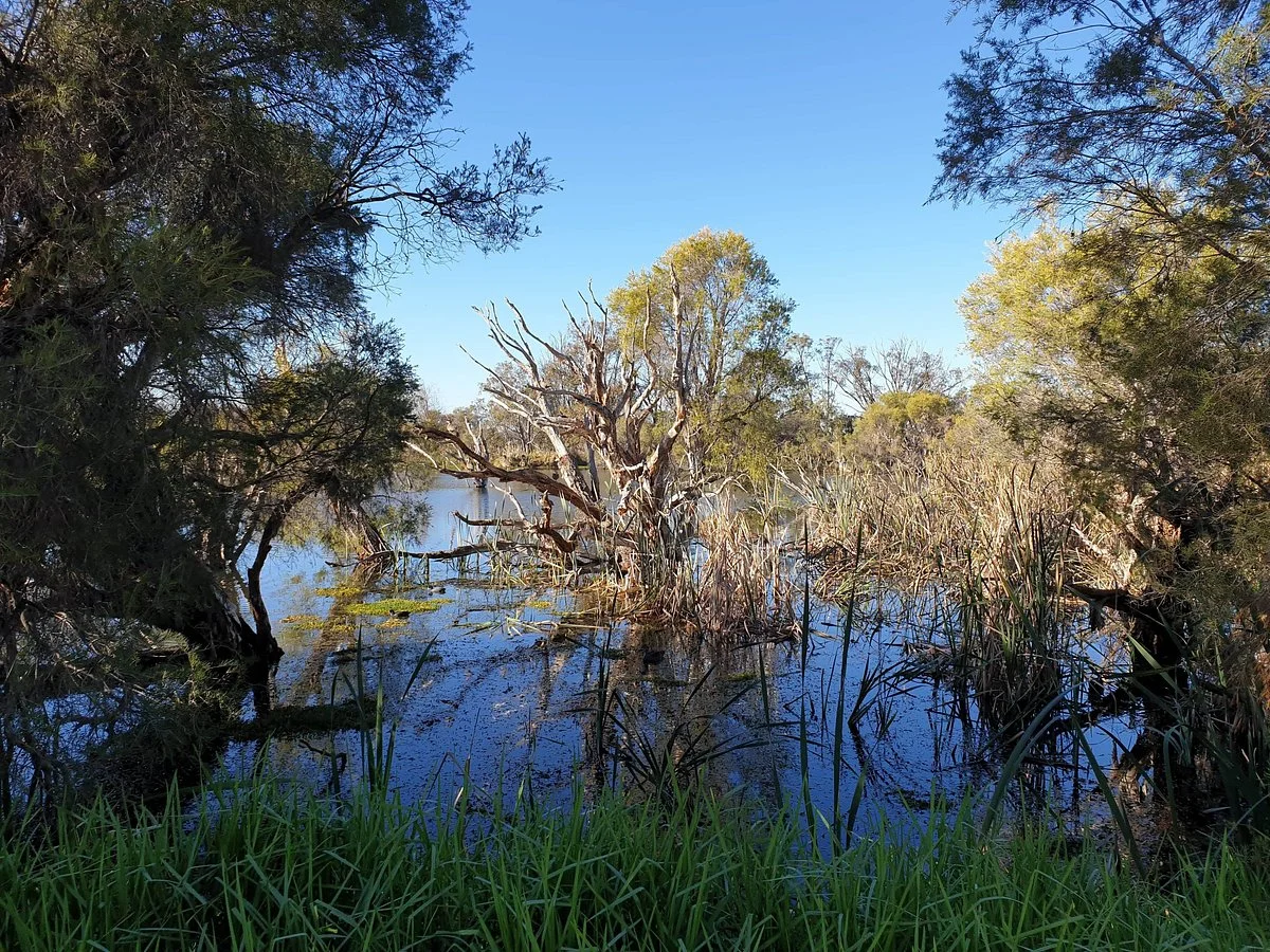Herdsman Lake