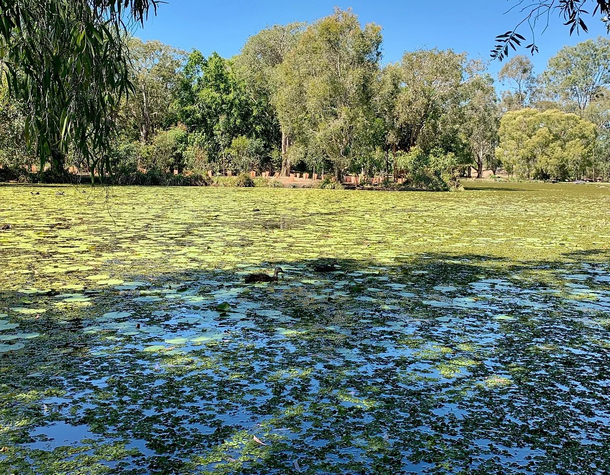 Baldwin Swamp Environment Park