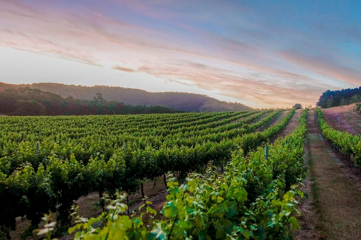 Taltarni Vineyards