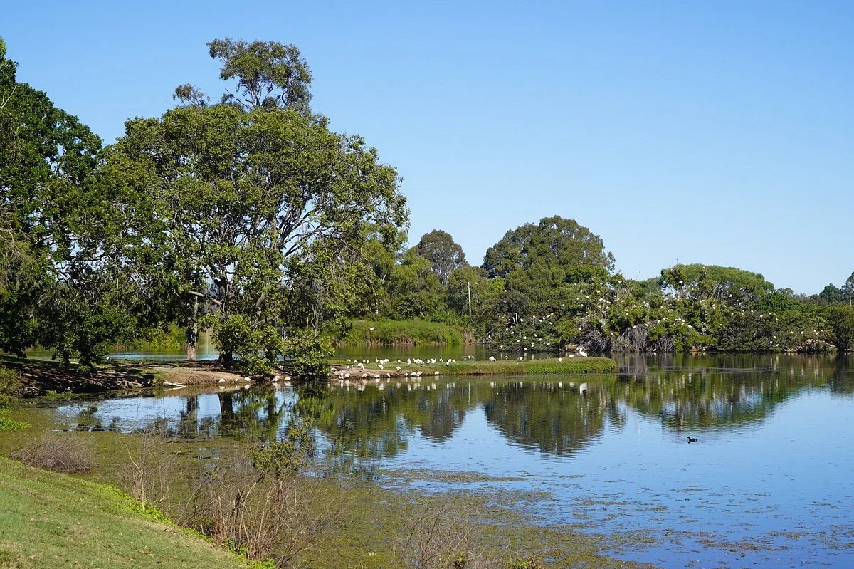 Anzac Park and Ululah Lagoon