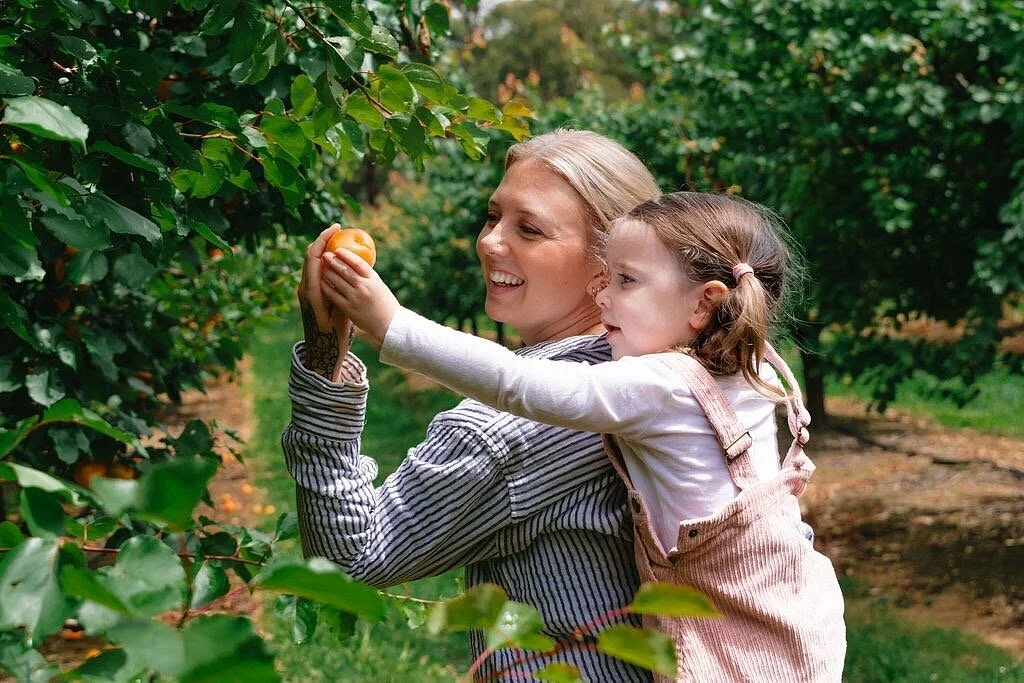 Rayner's Orchard
