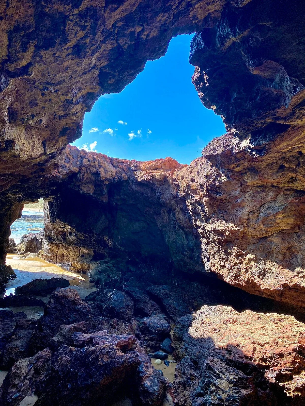 Forrest Caves