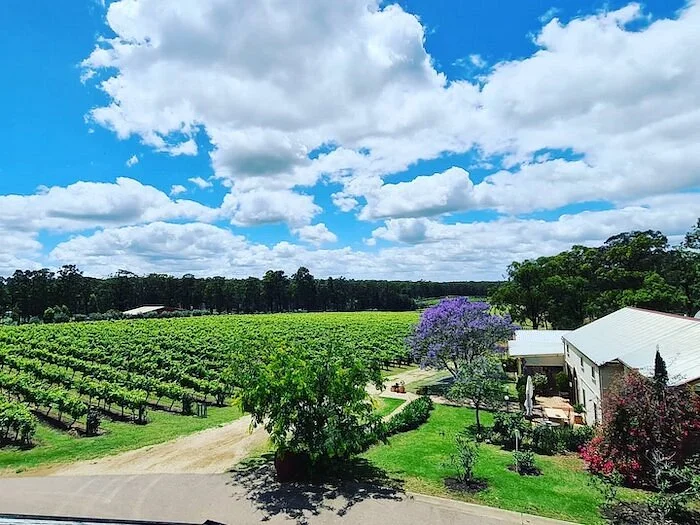 Tintilla Estate Wines