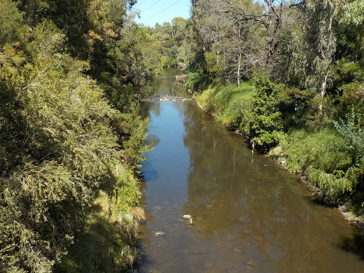 Gardiner's Creek Trail
