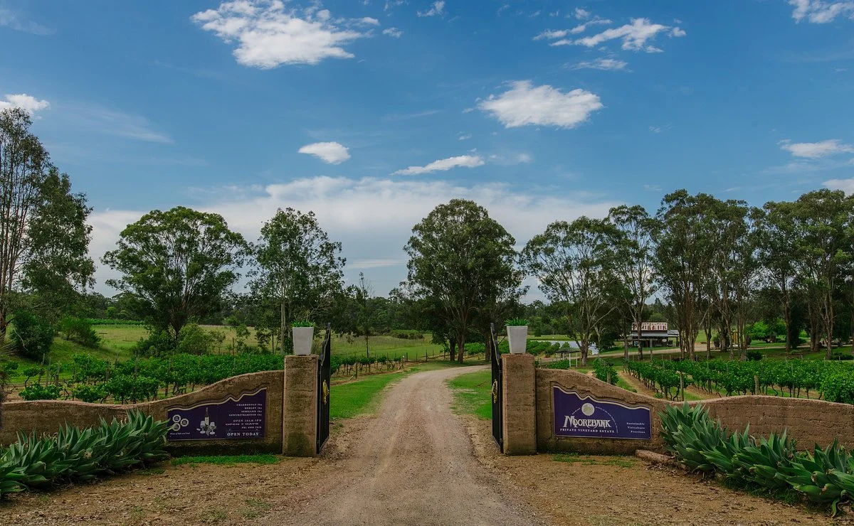 Moorebank Vineyard