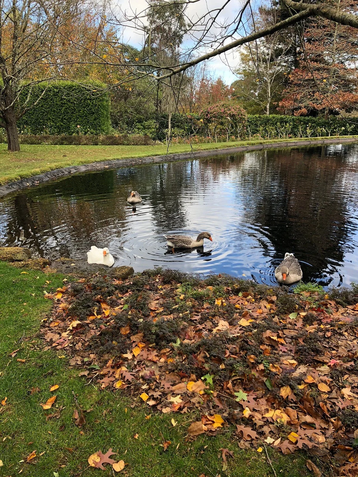 Gardens of Tieve Tara