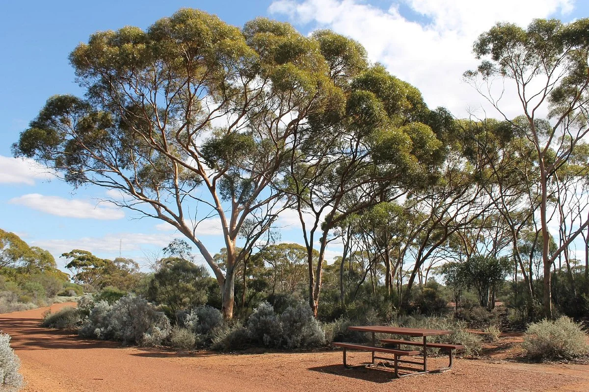 Karlkurla Bushland Park