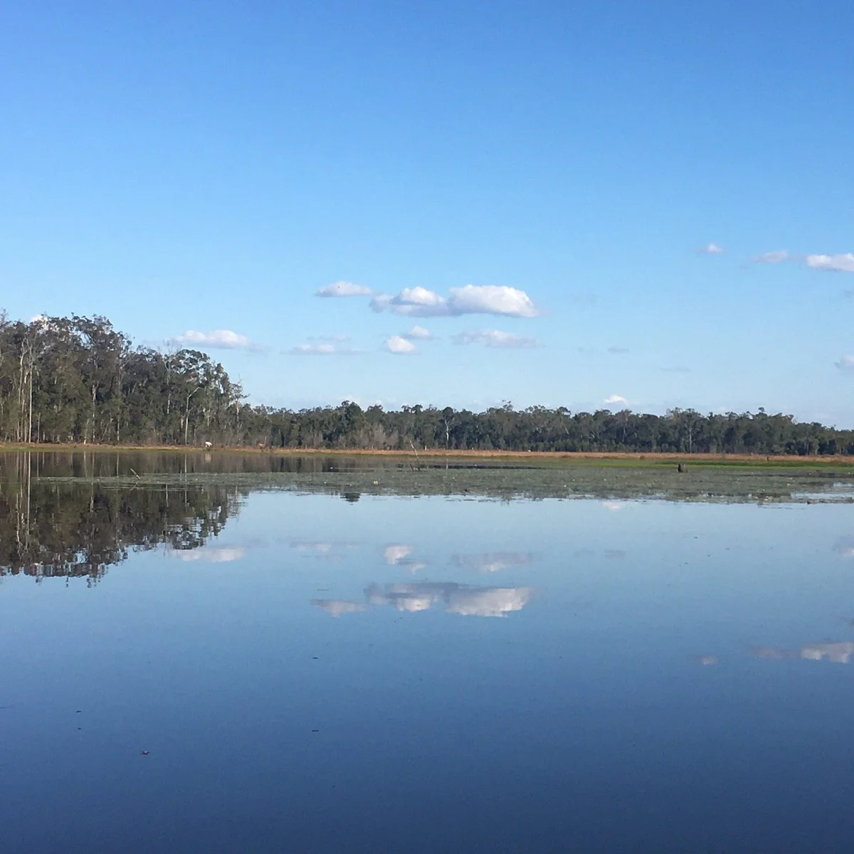 Lenthalls Dam