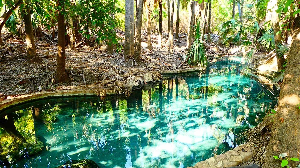 Mataranka Thermal Pool