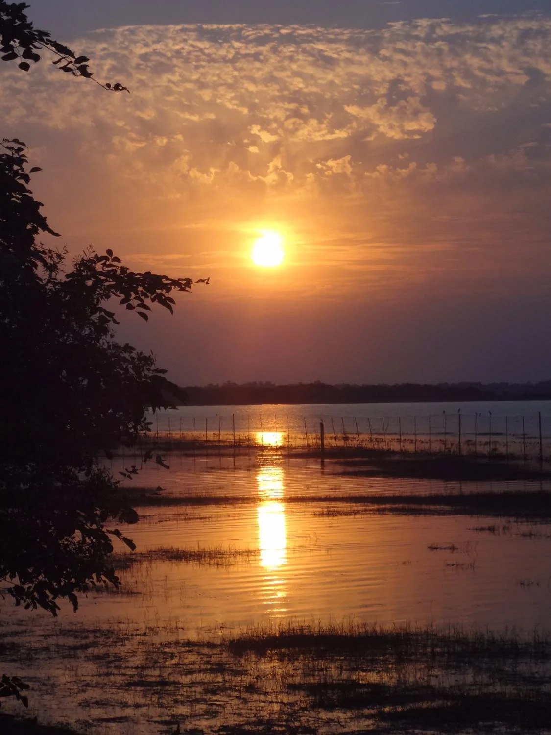 Van Vihar National Park