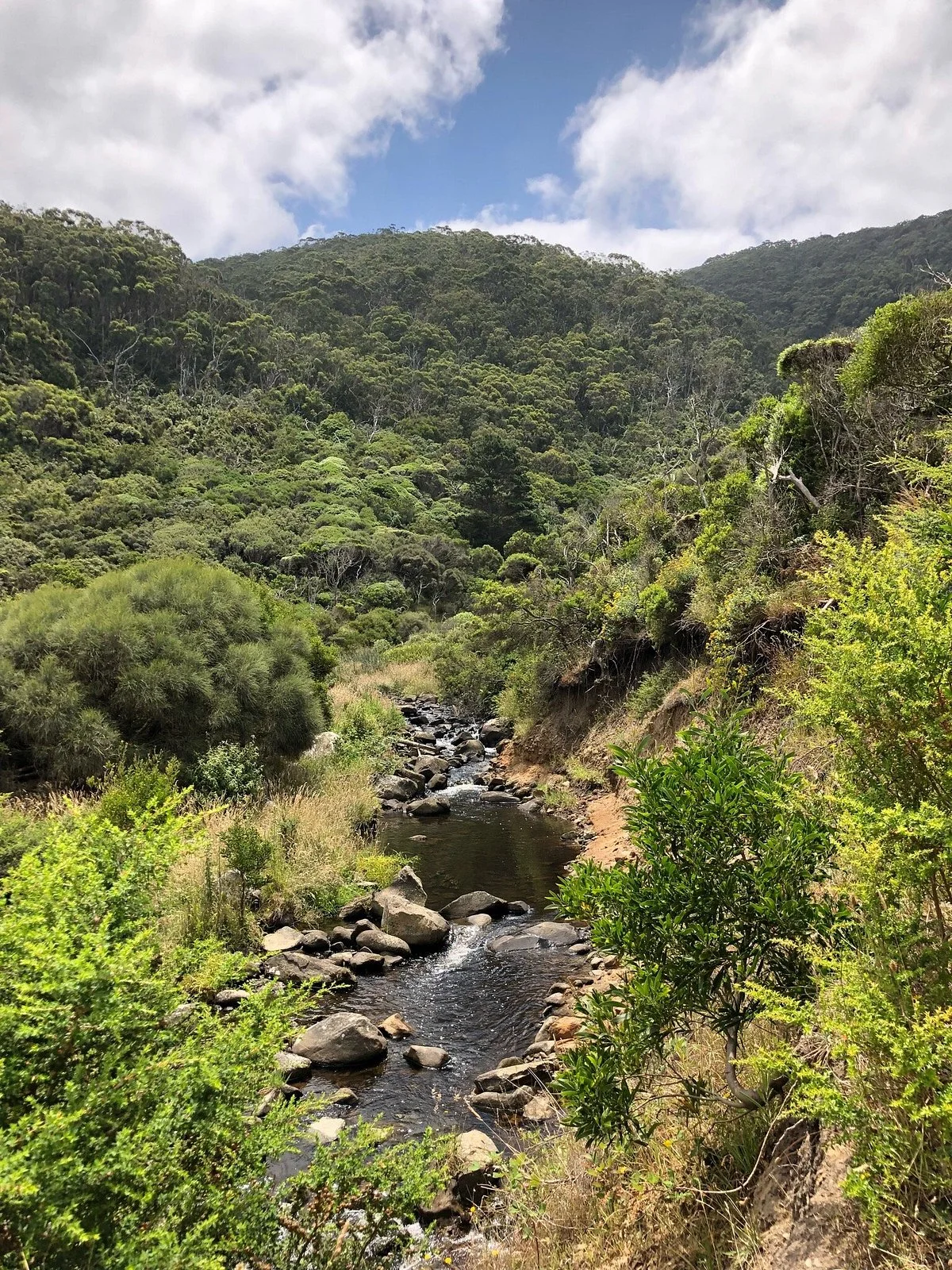 Carisbrook Waterfall
