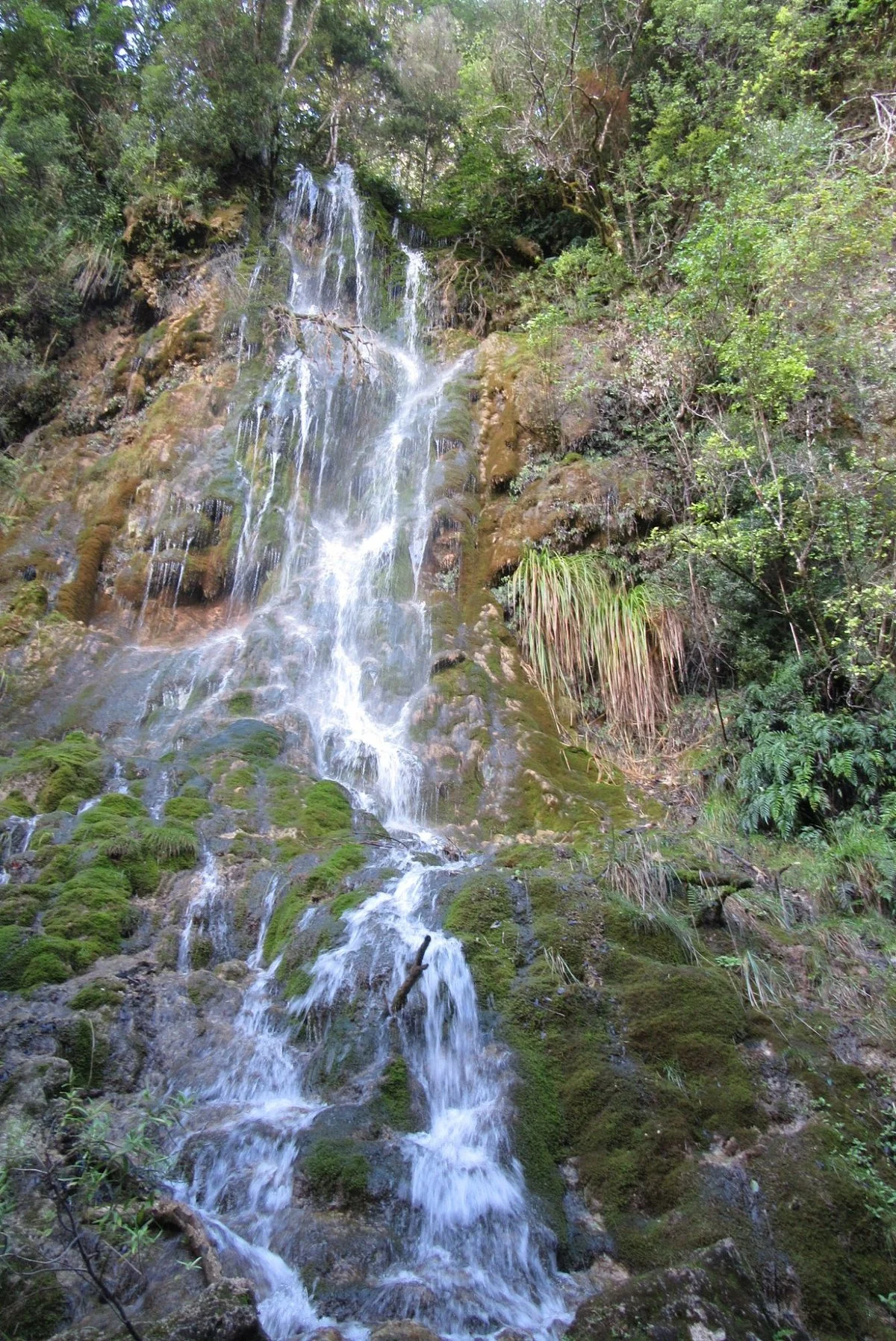 Whispering Falls