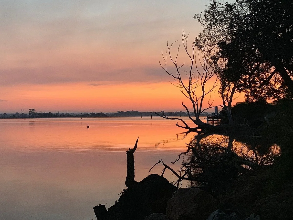 Mitchell River Silt Jetties
