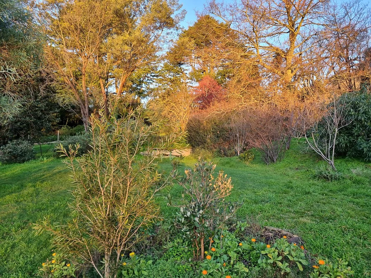 Rea Lands Public Park