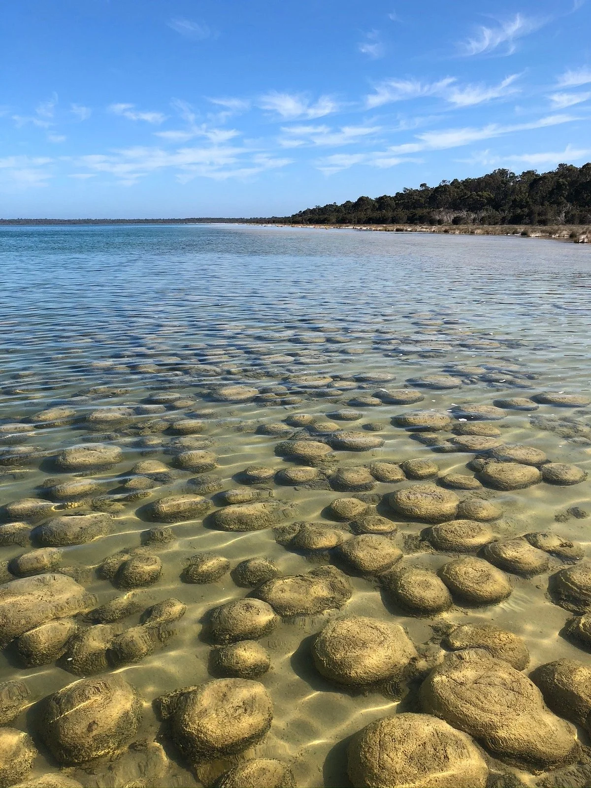 Lake Clifton