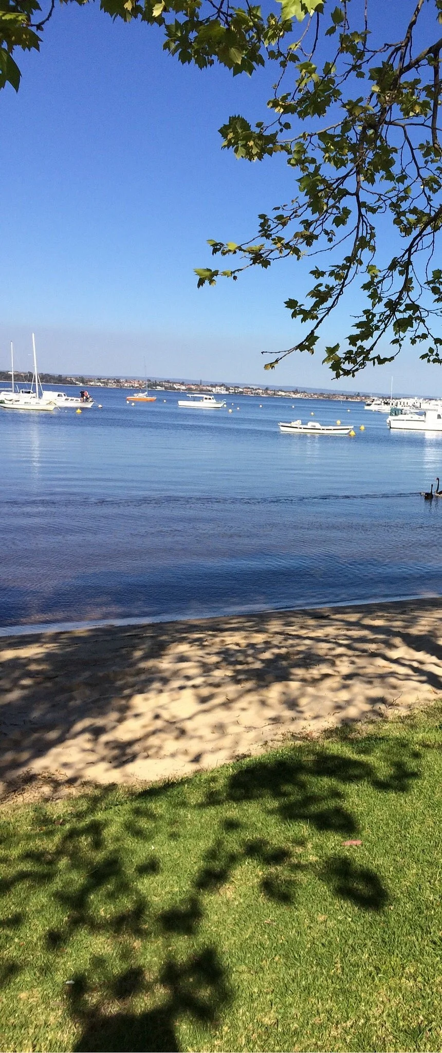Matilda Bay Reserve